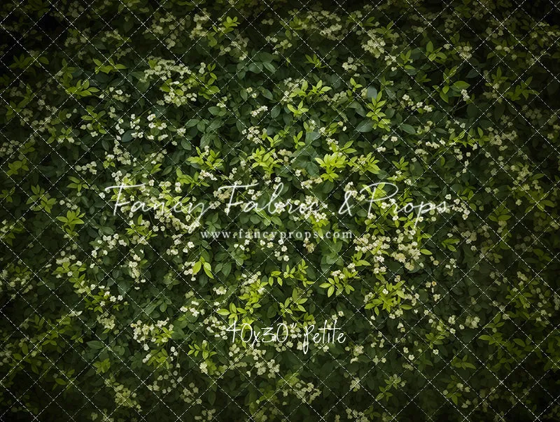 Lush Garden Greens - Petite