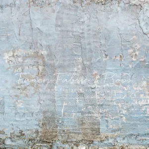 San Diego Brick Wall - Petite