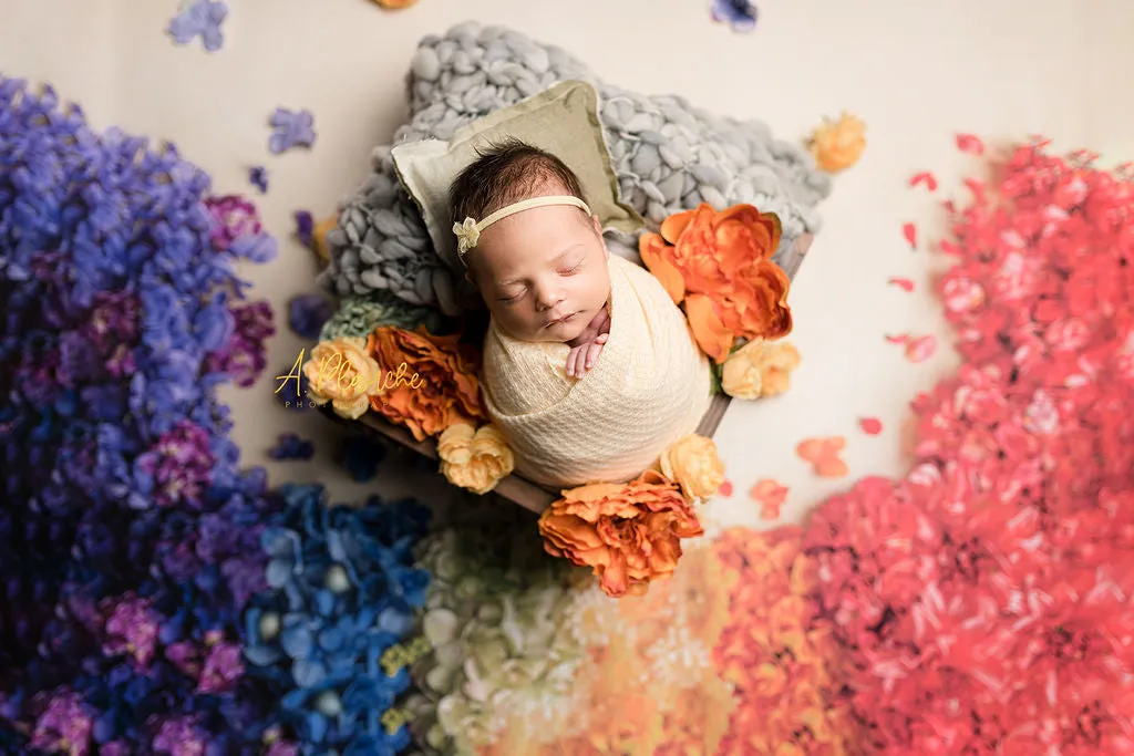Vibrant Rainbow - Petite