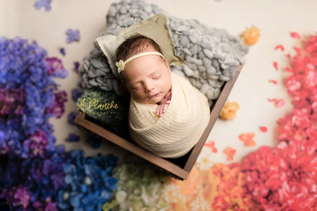 Vibrant Rainbow - Petite